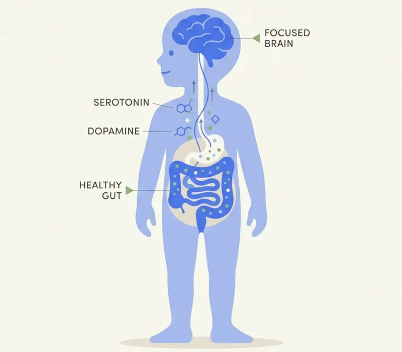 When Your Child's Gut Is Healthy